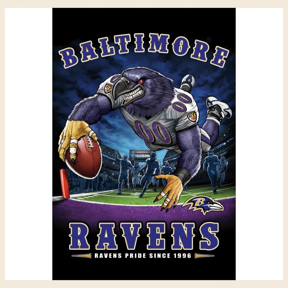 NFL Baltimore Ravens - End Zone 17 Wall Poster_ 165